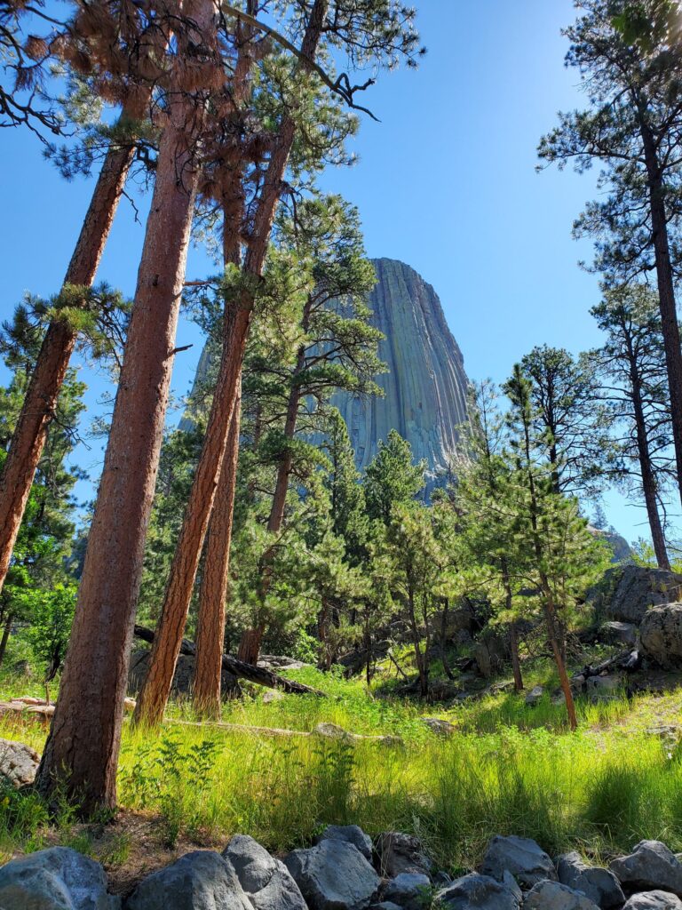 Bear Lodge