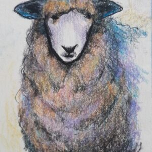 Sheep. 8x10 unframed print of original mixed media on paper by Cynthia Greb